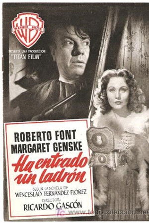 Ha entrado un ladrón