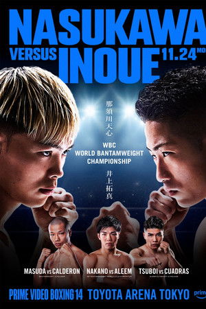 PRIME VIDEO BOXING 14