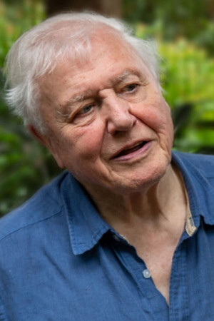 David Attenborough ile Yaşamın Renkleri