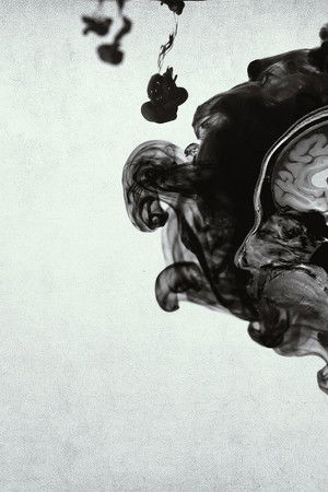 Inside the Criminal Mind