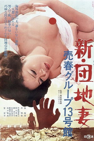 新･団地妻　売春グループ１３号館