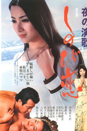 夜の演歌　しのび恋