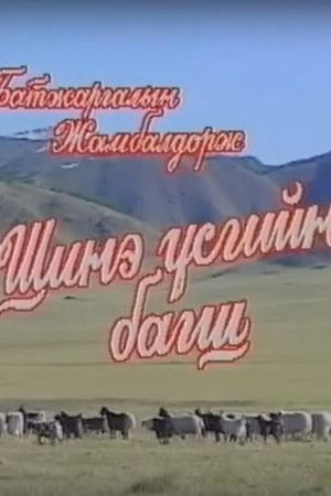 Шинэ үсгийн багш