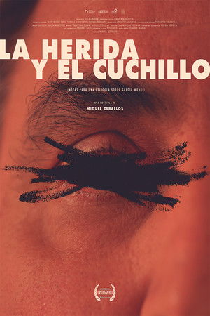 La herida y el cuchillo (Notas para un film sobre García Wehbi)