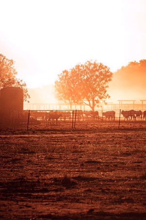 The Dirtwater Dynasty