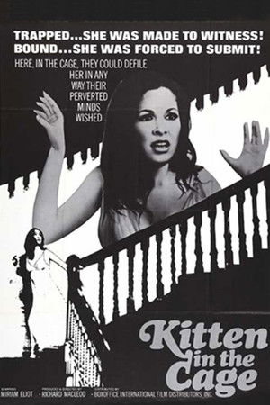 Kitten in a Cage