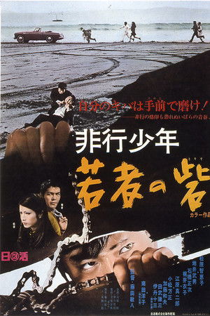 非行少年 若者の砦