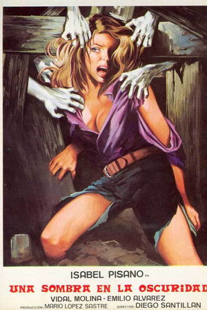 Una sombra en la oscuridad