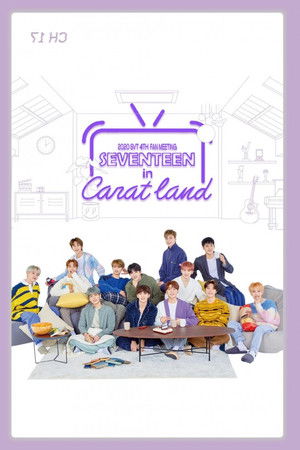 SEVENTEEN in CARAT LAND