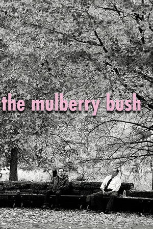 The Mulberry Bush