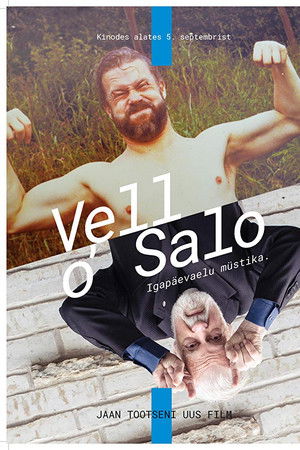Vello Salo. Igapäevaelu müstika