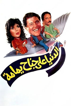 الدنيا على جناح يمامة