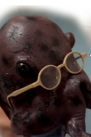 乳頭温泉　蛸の恩返し