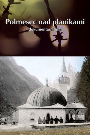 Polmesec nad planikami