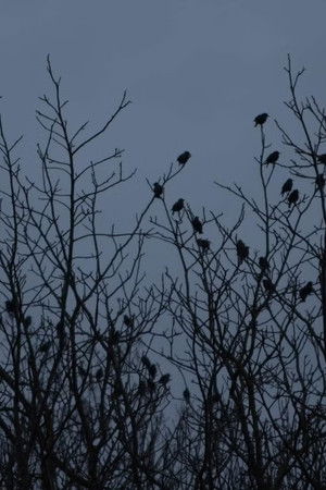 De lo urbano y lo rural