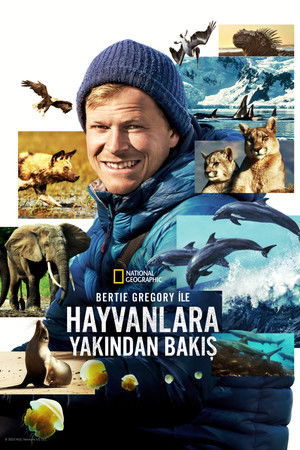 Bertie Gregory ile Hayvanlara Yakından Bakış