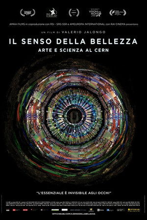 Il senso della bellezza - Arte e scienza al CERN