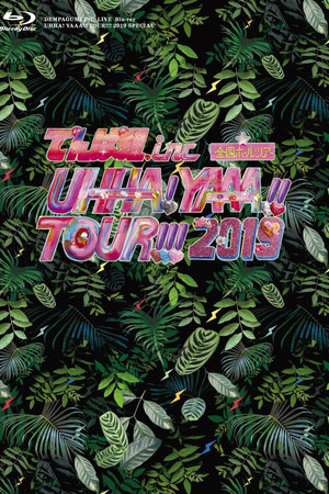 UHHA! YAAA!! TOUR!!! 2019 SPECIAL