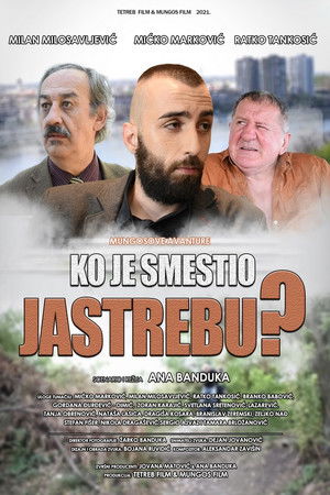 Ko je smestio Jastrebu?
