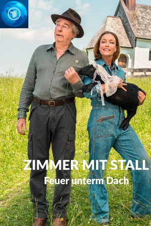 Zimmer mit Stall - Feuer unterm Dach