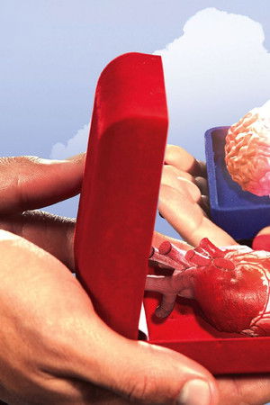 Are You the One? El match perfecto