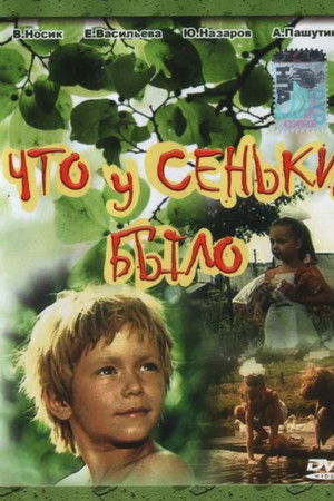 Что у Сеньки было