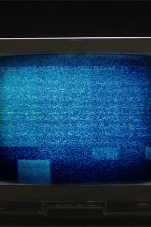 The Fatal Flaw: A Special Edition of 20/20