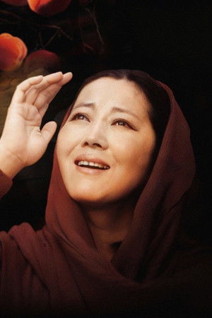 岁岁年年柿柿红