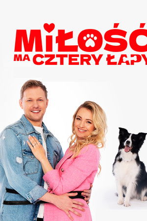 Miłość ma cztery łapy