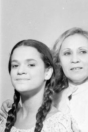 Sem Lenço, Sem Documento