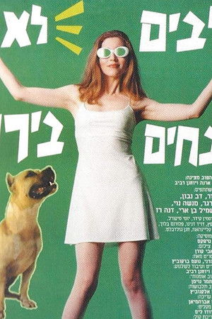 כלבים לא נובחים בירוק