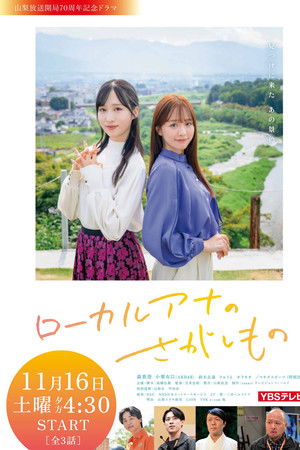 ローカルアナのさがしもの