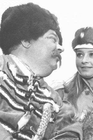 Przygody pana Michała