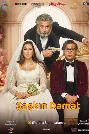 Şaşkın Damat
