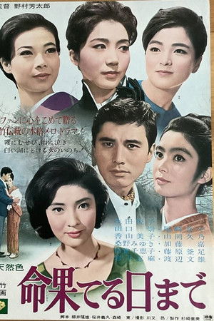 命果てる日まで