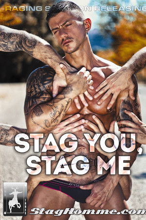 Stag You, Stag Me