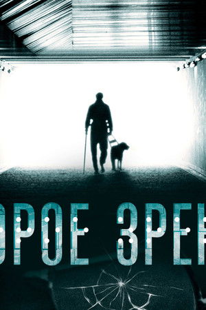 Второе зрение