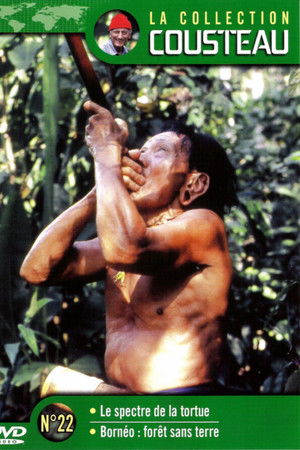 La collection Cousteau N°22 | Le spectre de la tortue | Bornéo : forêt sans terre