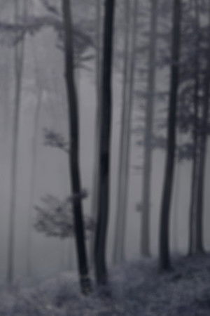 The Legend of King Arthur