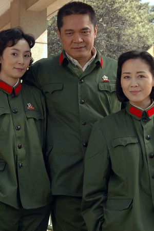 玫瑰绽放的年代