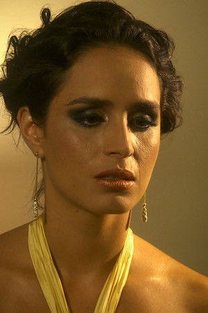 El diario secreto de una profesional