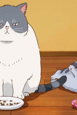 かなしきデブ猫ちゃん