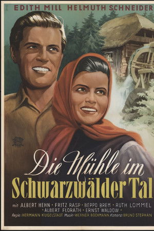 Die Mühle im Schwarzwäldertal