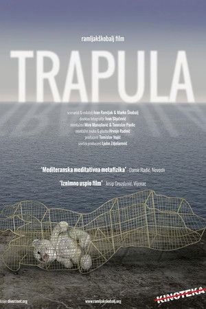 Trapula