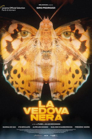 La vedova nera
