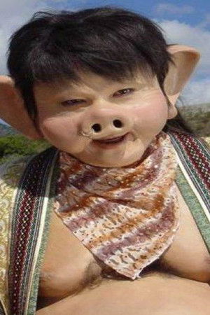 喜气洋洋猪八戒