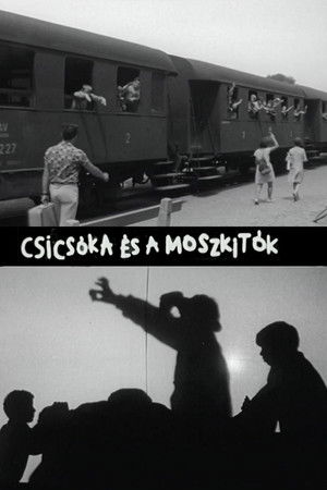 Csicsóka és a Moszkitók