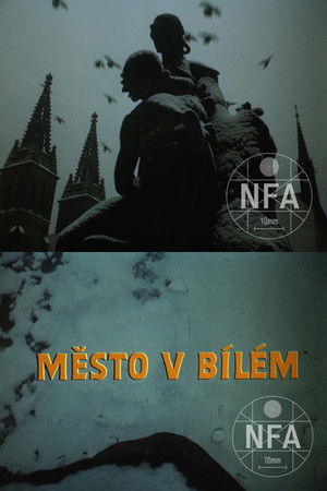 Město v bílém