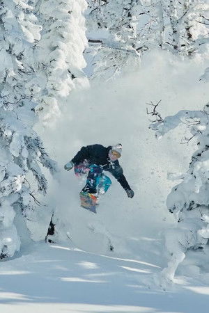 Art of Flight: The Series