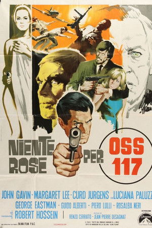 Niente rose per OSS 117